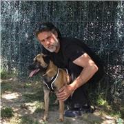 Adiestramiento y Gestión del Comportamiento Canino a Domicilio en Madrid